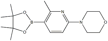 4-(6-Methyl-5-(4,4,5,5-tetraMethyl-1,3,2-dioxaborolan-2-yl)pyridin-2-yl)Morpholine Structure