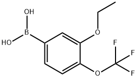 3-ethoxy-4-(trifluoroMethoxy)phenylboronic acid 结构式