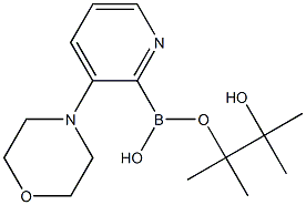  Morpholinopyridine-2-boronic acid pinacol ester