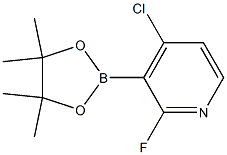 4-氯-2-氟-3-吡啶硼酸片呐酯
