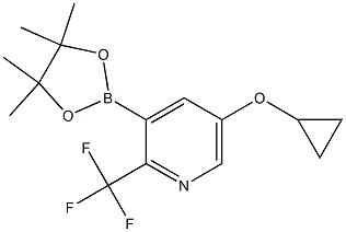5環丙氧基34455四甲基132二氧雜環戊硼烷2基2三氟甲基吡啶