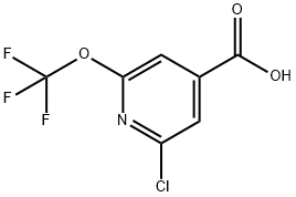 2-chloro-6-(trifluoroMethoxy)isonicotinic acid Struktur