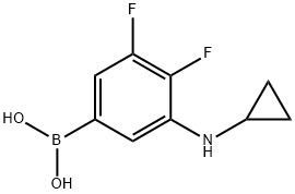 (3-(环丙基氨基)-4,5-二氟苯基)硼酸 结构式