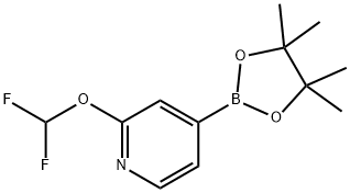 2-(difluoroMethoxy)-4-(4,4,5,5-tetraMethyl-1,3,2-dioxaborolan-2-yl)pyridine Struktur