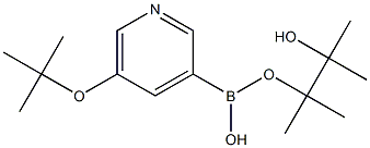 5-TERT-BUTOXYPYRIDIN-3-YLBORONIC ACID PINACOL ESTER Structure