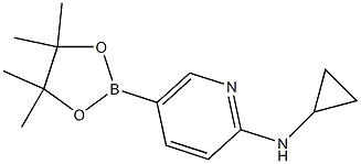 N-CYCLOPROPYL-5-(4,4,5,5-TETRAMETHYL-1,3,2-DIOXABOROLAN-2-YL)PYRIDIN-2-AMINE Structure