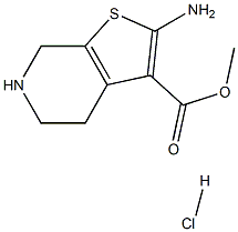 METHYL 2-AMINO-4,5,6,7-TETRAHYDROTHIENO[2,3-C]PYRIDINE-3-CARBOXYLATE HCL Structure