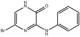 5-bromo-3-(phenylamino)-1,2-dihydropyrazin-2-one, 1148027-28-4, 结构式