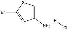 5-Bromothiophen-3-amine hydrochloride 化学構造式