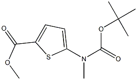 METHYL 5-(TERT-BUTOXYCARBONYL(METHYL)AMINO)THIOPHENE-2-CARBOXYLATE 化学構造式