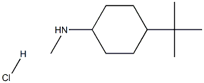 4-Tert-Butyl-N-Methylcyclohexan-1-Amine Hydrochloride Struktur