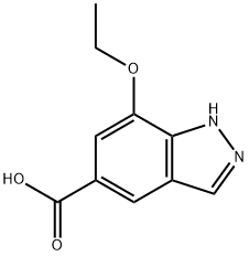 7-Ethoxy-1H-indazole-5-carboxylic acid 结构式