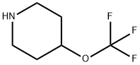 4-Trifluoromethoxypiperidine hydrochloride|4-(三氟甲氧基)哌啶