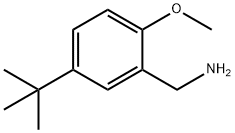 1226409-70-6 (5-Tert-butyl-2-methoxyphenyl)methanamine