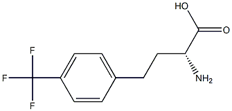 (R)-2-Amino-4-(4-trifluoromethylphenyl)butanoic acid Struktur