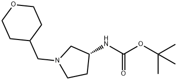 (R)-tert-Butyl 1-[(tetrahydro-2H-pyran-4-yl)methyl]pyrrolidin-3-ylcarbamate|1286207-10-0