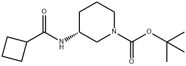 (R)-tert-Butyl 3-(cyclobutanecarbonylamino)piperidine-1-carboxylate|1286207-13-3