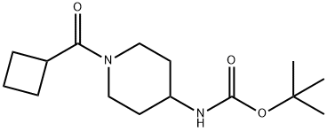 TERT-ブチル 1-(シクロブタンカルボニル)ピペリジン-4-イルカルバメート 化学構造式