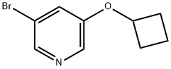 3-Bromo-5-cyclobutoxy-pyridine Structure