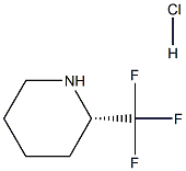 (2S)-2-(trifluoromethyl)piperidine:hydrochloride, 1389320-24-4, 结构式