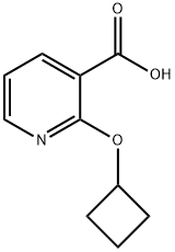 2-环丁氧基烟酸 结构式