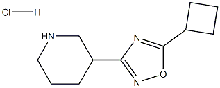 3-(5-Cyclobutyl-1,2,4-oxadiazol-3-yl)piperidine hydrochloride Structure