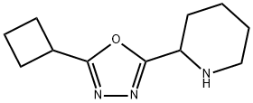 2-(5-シクロブチル-1,3,4-オキサジアゾール-2-イル)ピペリジン 化学構造式