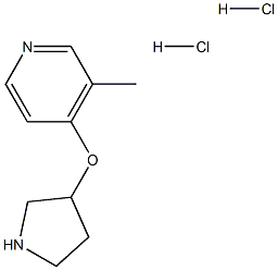 3-Methyl-4-(pyrrolidin-3-yloxy)pyridinedihydrochloride Structure