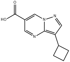 1779132-88-5 3-シクロブチルピラゾロ[1,5-A]ピリミジン-6-カルボン酸