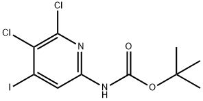 Carbamic acid, N-(5,6-dichloro-4-iodo-2-pyridinyl)-, 1,1-dimethylethyl ester 化学構造式