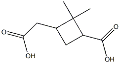 Cyclobutaneacetic acid, 3-carboxy-2,2-dimethyl-,473-73-4,结构式