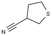 thiolane-3-carbonitrile 化学構造式