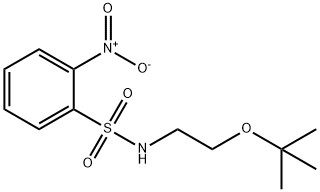 N-[2-[(2-methylpropan-2-yl)oxy]ethyl]-2-nitrobenzenesulfonamide Structure
