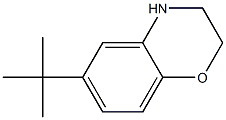 6-tert-Butyl-3,4-dihydro-2H-benzo[1,4]oxazine Structure