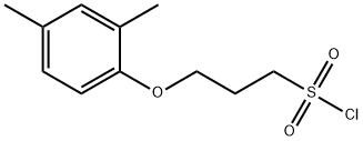 3-(2,4-二甲基苯氧基)丙烷-1-磺酰氯 结构式