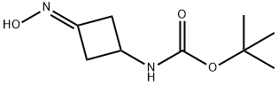 (3-Hydroxyimino-cyclobutyl)-carbamic acid tert-butyl ester 化学構造式