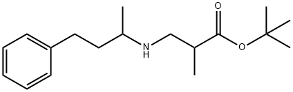 tert-butyl 2-methyl-3-[(4-phenylbutan-2-yl)amino]propanoate Structure