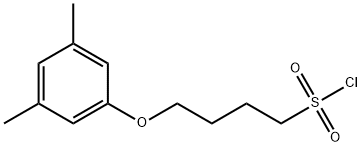 4-(3,5-dimethylphenoxy)butane-1-sulfonyl chloride Struktur
