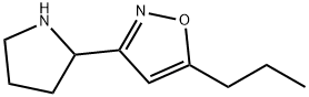 5-propyl-3-pyrrolidin-2-ylisoxazole Structure