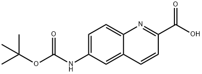 6-((tert-butoxycarbonyl)amino)quinoline-2-carboxylic acid Structure