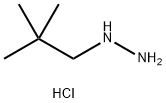 (2,2-dimethylpropyl)hydrazine dihydrochloride 化学構造式