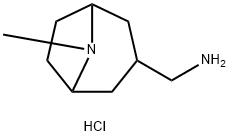 (8-Methyl-8-azabicyclo[3.2.1]octan-3-yl)methanamine dihydrochloride Struktur