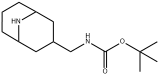 Carbamic acid, N-(9-azabicyclo[3.3.1]non-3-ylmethyl)-, 1,1-dimethylethyl ester Structure