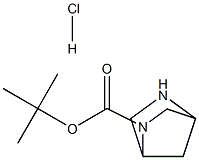 2,5-二氮杂双环[2.2.1]庚烷-2-羧酸叔丁酯盐酸盐,1211594-57-8,结构式