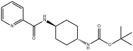 TERT-ブチル (1R*,4R*)-4-(ピコリンアミド)シクロヘキシルカルバメート 化学構造式