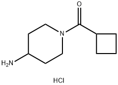 (4-Aminopiperidin-1-yl)(cyclobutyl)methanone hydrochloride|1286274-55-2