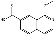 1-METHOXYISOQUINOLINE-7-CARBOXYLIC ACID|1-METHOXYISOQUINOLINE-7-CARBOXYLIC ACID