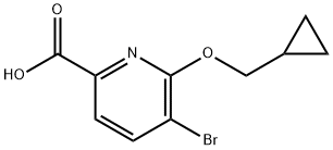 5-Bromo-6-cyclopropylmethoxy-pyridine-2-carboxylic acid Structure