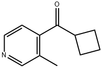 Cyclobutyl-(3-methyl-pyridin-4-yl)-methanone 结构式