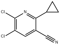 5,6-Dichloro-2-cyclopropyl-nicotinonitrile Structure